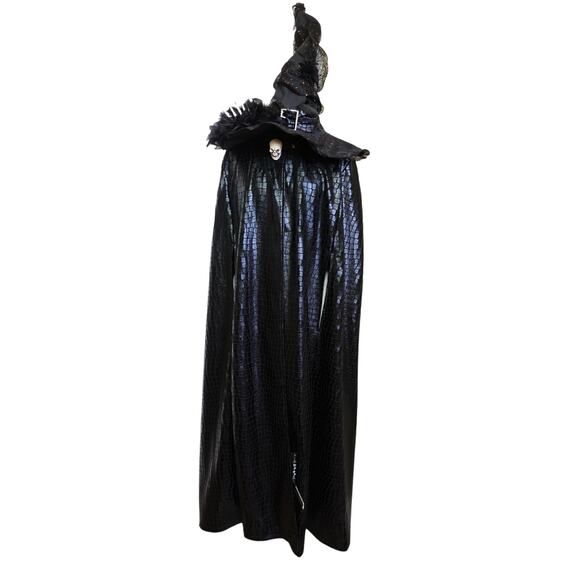 Halloween Witch Costume 10-Pc Set-Witch Hat, Peasant Top, Skirt, Cape, Socks etc - Picture 1 of 15